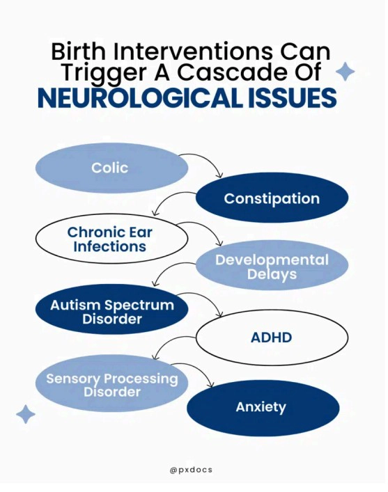 Chiropractic Edina MN Neurological Issues